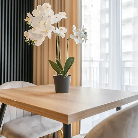 Apartman Prestige By The Mall Sudio By Bookinghost Katowice